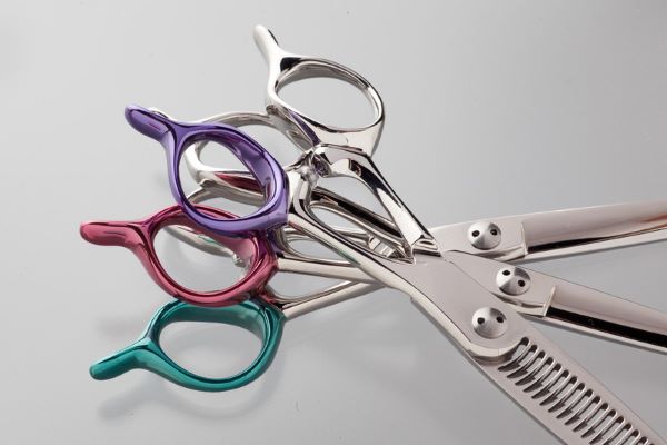 ワカヤマ 塗装例3